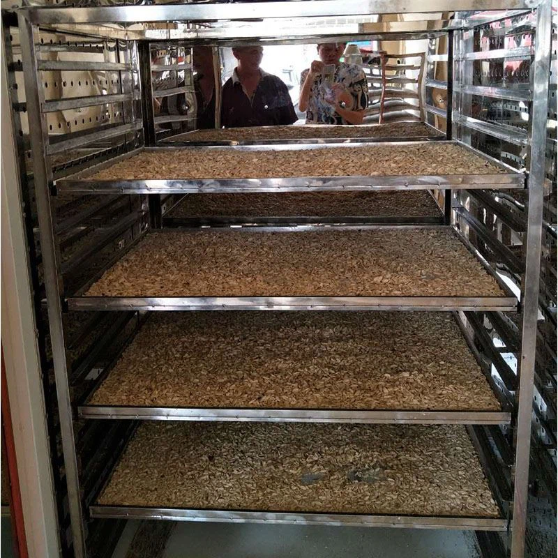 single door drying oven